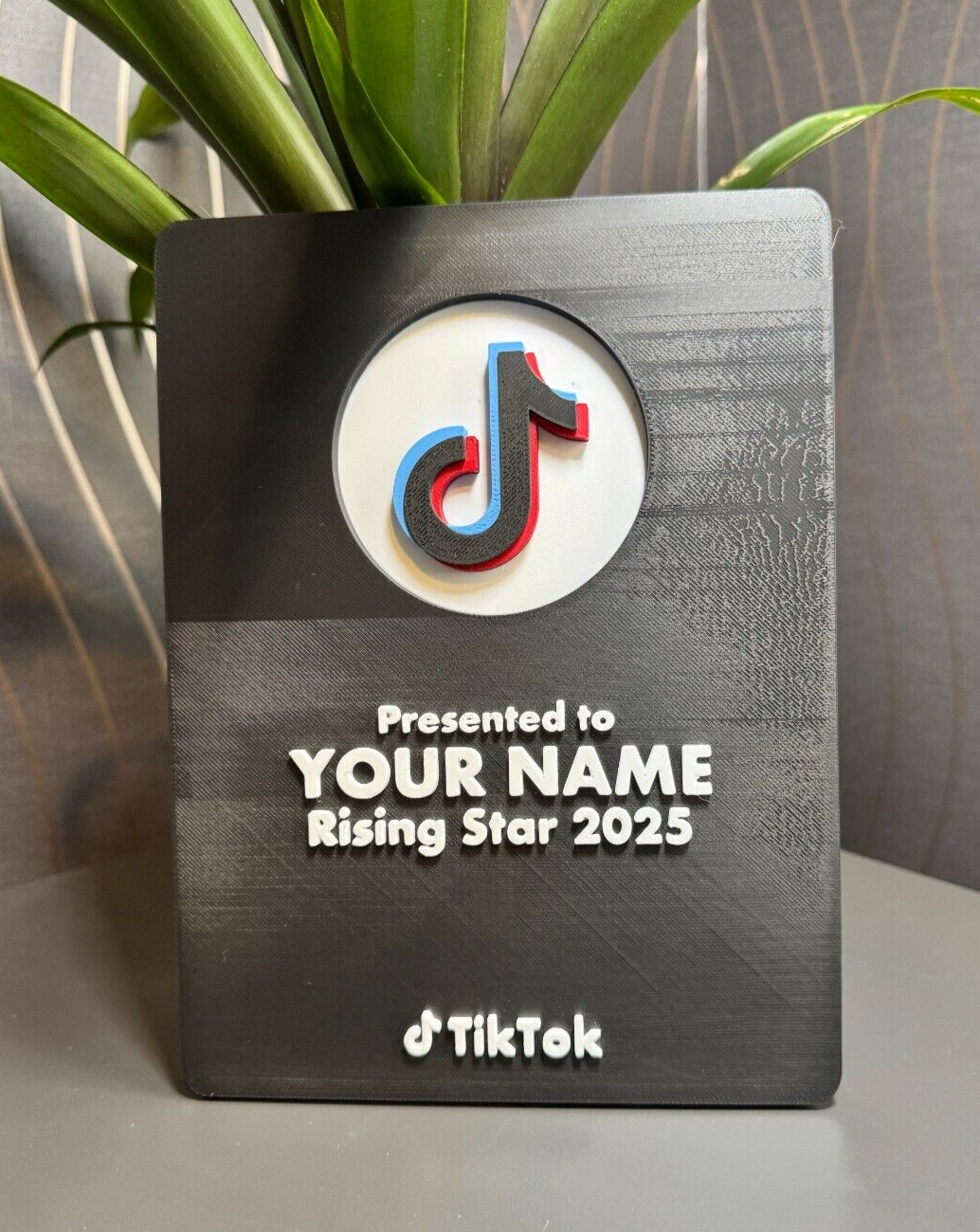 Personalised TikTok Award Plaque | Premium Version | Add Your Name or Username