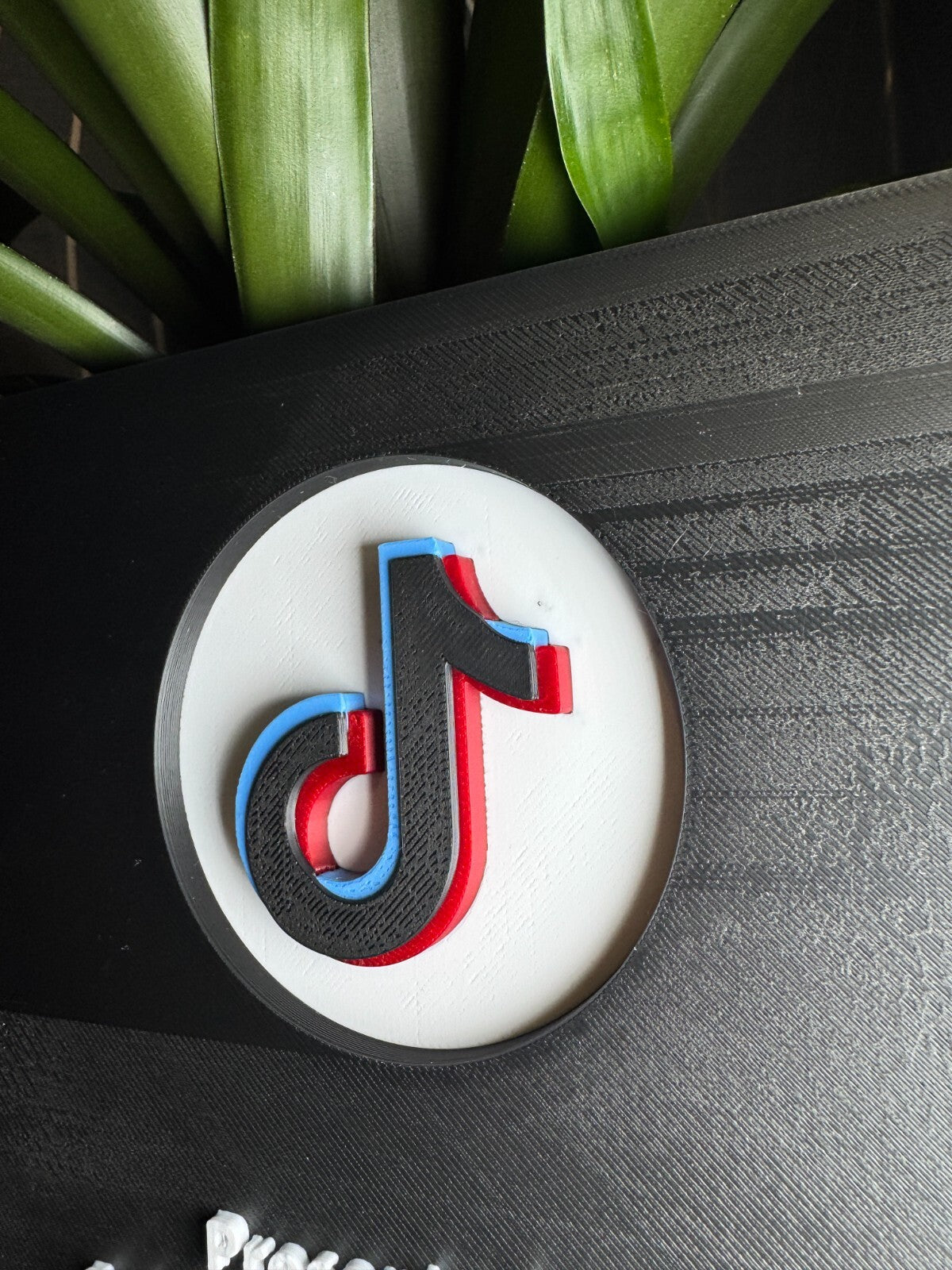 Personalised TikTok Award Plaque | Premium Version | Add Your Name or Username
