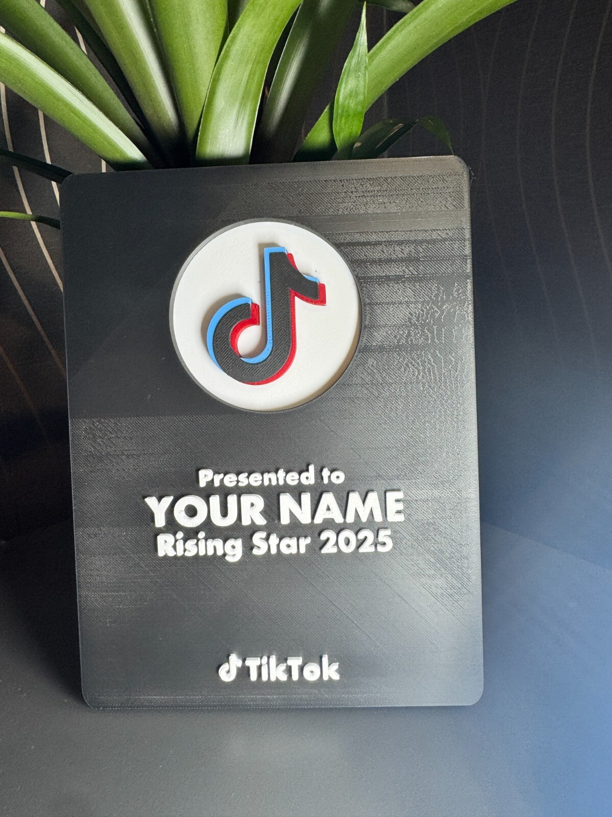 Personalised TikTok Award Plaque | Premium Version | Add Your Name or Username